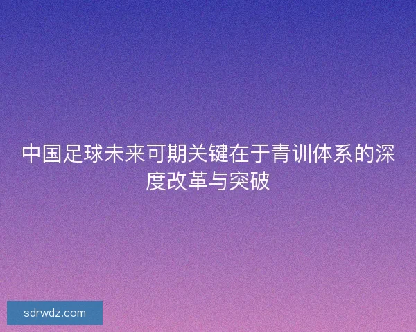 中国足球未来可期关键在于青训体系的深度改革与突破